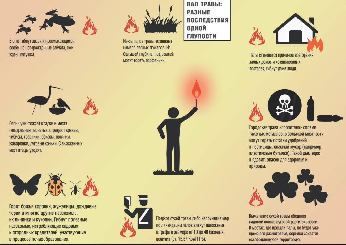 МЧС предупреждает о недопустимости выжигания сухой травы - Все новости -  ВОИРО